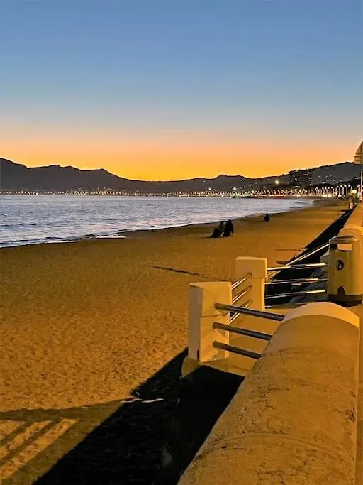 Superbe Studio Bord De Mer Avec Terrasse & Piscine 戛纳 公寓